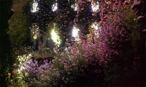 scenery,s,flowers,1990s,the secret garden,medschoolife,toca tv
