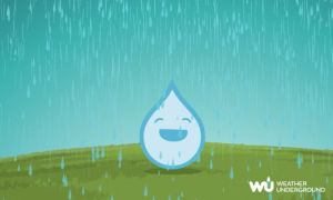 rain,weather,raining,funny,lol,laughing,laugh,haha,wu,weather underground,wunderground