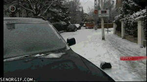 snow plow,fail,cars,crash,transportation,snows
