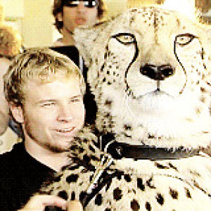 brian littrell,aj mclean,nick carter,backstreet boys,around the world,kevin richardson,post bsb,howie d,thats a big cat,i did this post several years ago,but it was very ugly,so i redid it