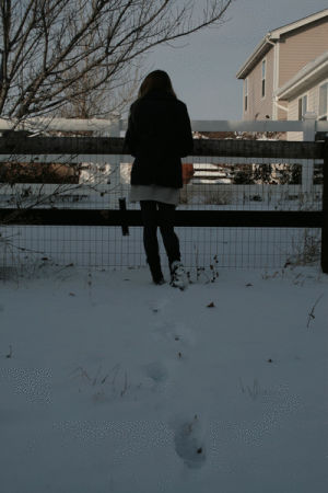 snow,vanish,disappearing,disappear,frozen,vanishing,snowy,transparent,animation,girl,artists on tumblr,photography,winter,moments,colorado,my work,figure,myself,fence,fade,photographers on tumblr,fleeting
