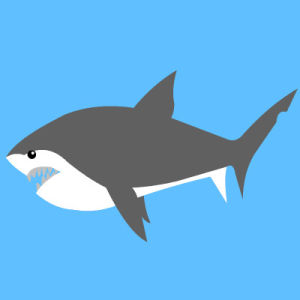 shark,chomp,cartoon,swimming,animation,shark attack,great white shark