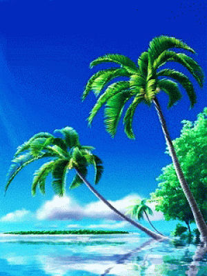 tropical,paradise,palm tree,water,seapunk