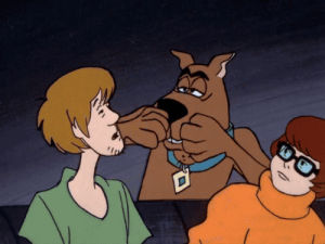 mocking,scooby doo,reaction,scary,reaction s,shaggy,making faces,velma dinkley,nowhere to hyde