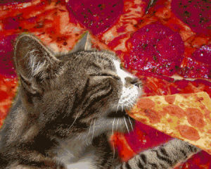 psychedelic,art,cat,pizza