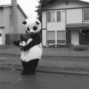 dance,swag,panda,black white,tedy bear