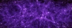 purple,brain