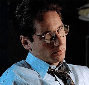 david duchovny,fox mulder,television,90s,s1,1x05,txf,the jersey devil,mulder plus,the x files