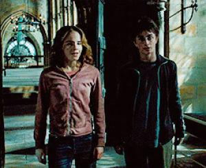 hermione,harry potter,harry,poa