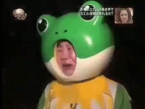 frog,crying,television,sad,japan,travel