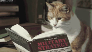 read,reading,studying,cat,strategies,military strategy,dot