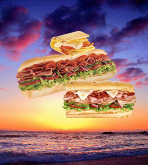 sandwich,food,space,subway,shaking food