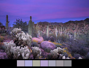 landscape,nature,transparent,colors,color palette,color palettes