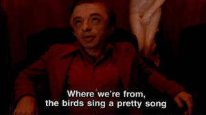 twin peaks,funny,hot,love,hey,black lodge,little man from another place