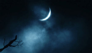 alice in wonderland,cheshire cat,smile,moon