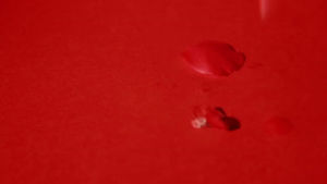 rose,love,artist,red,stop motion,tomato,petals,caitlin craggs,real food media