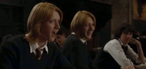 fred and george,harry potter