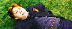 harry potter,ron weasley,movie,movies,book,colorful,favorite,sick,throw up,potterhead