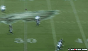 GIF philadelphia eagles - animated GIF on GIFER - by Burirana