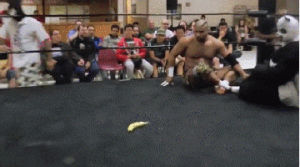 love,wrestling,good,bananas,ottawa