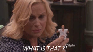 parks and recreation,amy poehler,parks and rec,what is that,drunk leslie