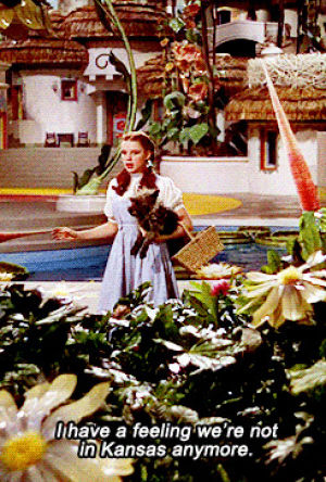 Theres no place like home wizard of oz toto GIF - Find on GIFER