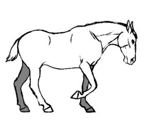 horse,walk cycle,animation,horse walk cycle,pipaart