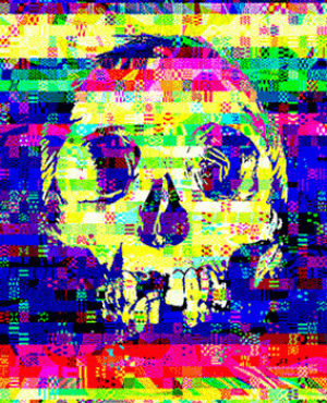 art,glitch,glitch art,skull,g1ft3d,bone