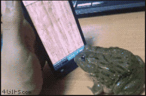 ants,funny,hand,frog,smartphone,leap