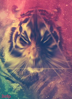 tiger,beautiful,colorful,hipster,triangle,color,animal