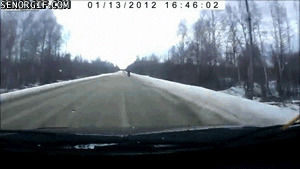 fail,nature,cars,accident,yikes,first person,hitchhikers
