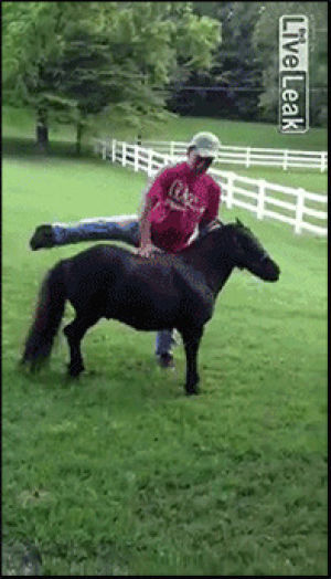 fail,animals,horse,drop,tumblr brasil,my litle pony