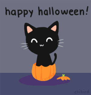 gif happy halloween broom witch animated gif on gifer by