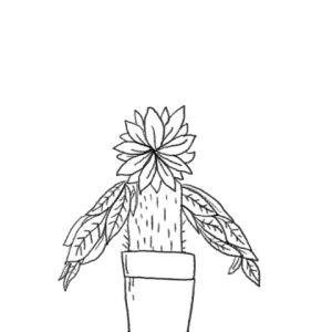 plant,macarena,dancing,illustration,surprise,percolate galactic
