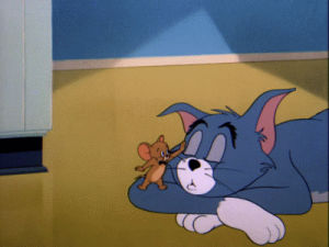 tom and jerry,warner bros,tom,jerry,mgm