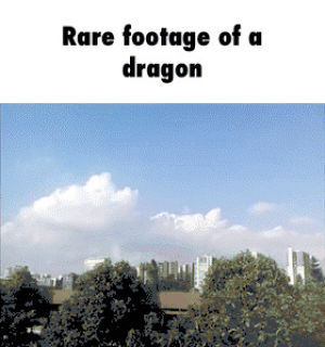 dragon,footage,rare