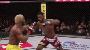 fight,fights,ufc,knockout,submission,mma,fighter,ko,octagon,neil magny