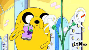 plants,adventure time,food,life,nature,flower,jake the dog,finn the human,finn and jake