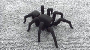 spider,robot,loop