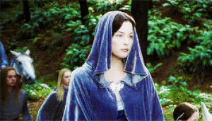 arwen,the lord of the rings,fellowship of the ring,liv tyler,movies,return of the king,aragorn,two towers