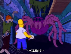 homer simpson,season 4,scared,episode 16,spider,maze,worry,4x16