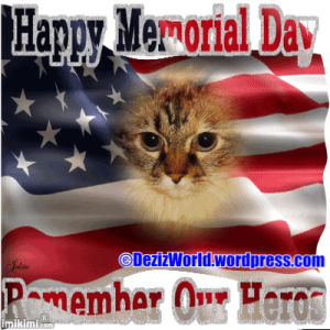 memorial day,cats,god bless america,lexi,lets all just hope im better at modding than participating