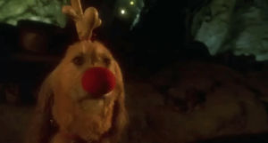 jim carrey,how the grinch stole christmas,reindeer,dog,christmas movies,2000,ron howard