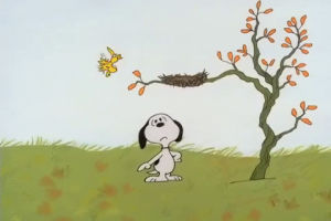 snoopy,woodstock,youre not elected charlie brown,peanuts