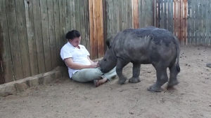 rhino,baby,hugs