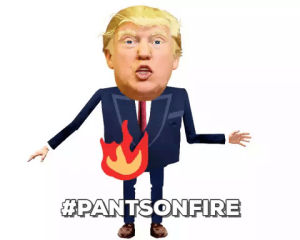pants on fire,liar,trump,i had to delete so many frames