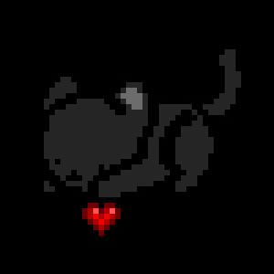 transparent,black cat