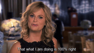 parks and recreation,amy poehler,parks and rec,leslie knope