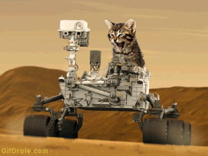 spaceship,kitten,rover,mars rover,robot,kittens,robots,mash up,machine,the moon