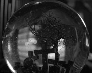 snow globe,gothic,goth,darkness,eric draven,movie,tree,1994